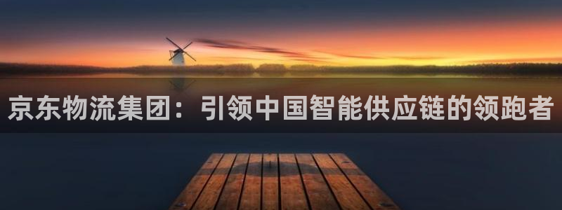 28圈免费：京东物流集团：引领中国智