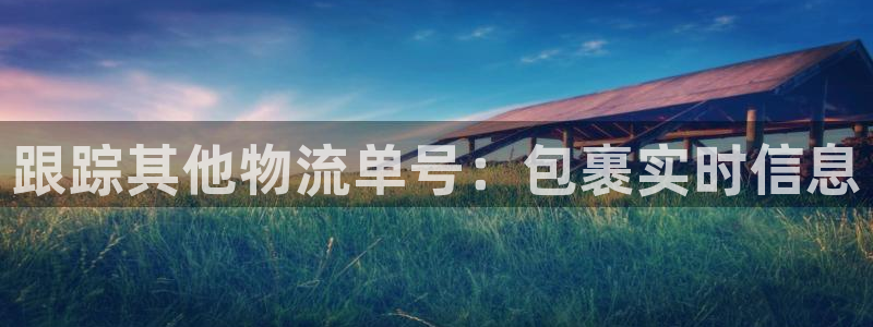 28圈娱乐官网网页：跟踪其他物流单号