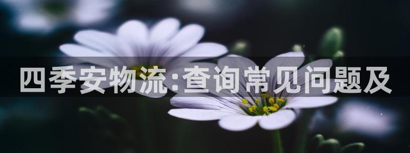 28圈官网多少