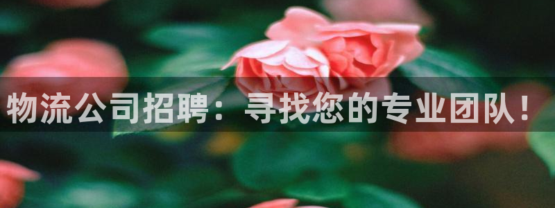 28圈软件有什么用