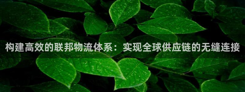 28圈模拟器下载