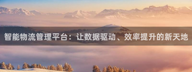 28圈正规吗?：智能物流管理平台：让