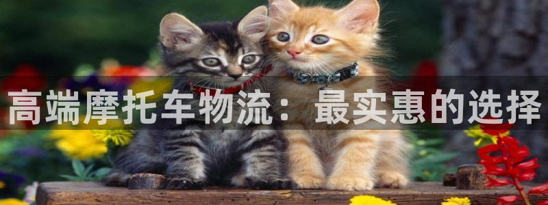 28圈注册送：高端摩托车物流：最实惠