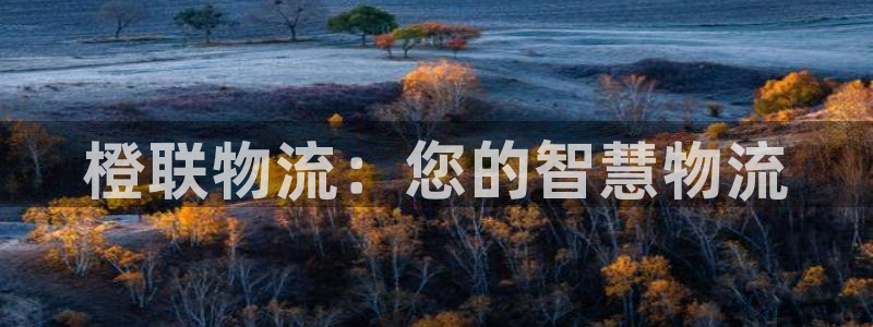 28圈娱乐官网网页下载：橙联物流：您