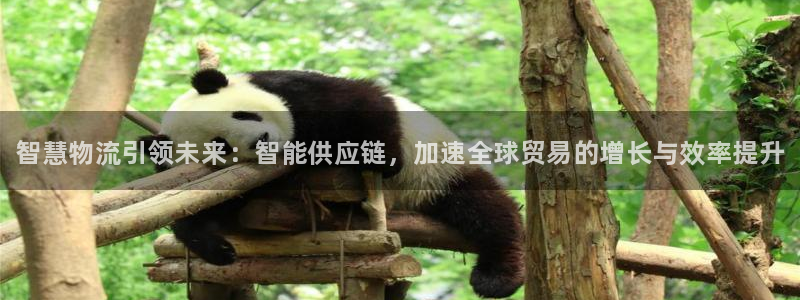 28圈APP是干什么的：智慧物流引领