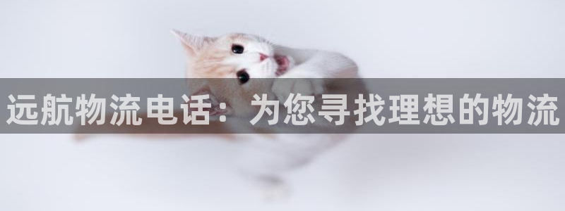 28圈软件堵什么反什么：远航物流电话