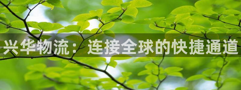 28圈官方网站：兴华物流：连接全球的