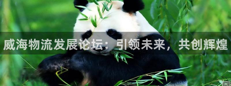 28圈麻将胡了：威海物流发展论坛：引