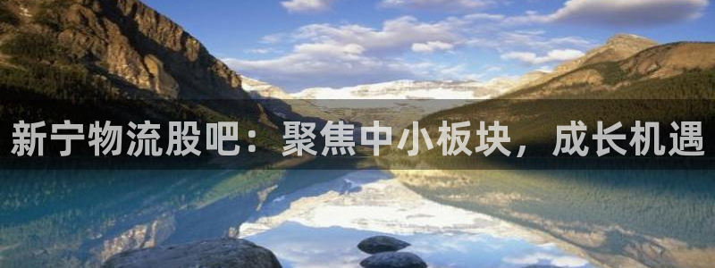 28圈加拿大6.0：新宁物流股吧：聚