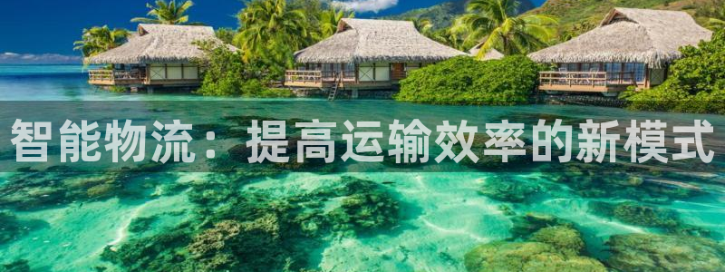 28圈比特28真实吗：智能物流：提高运输效率的新模式