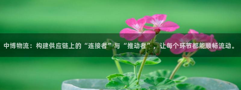 28圈代理落网：中博物流：构建供应链