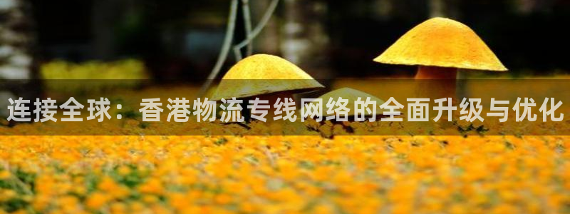 28圈p扣除：连接全球：香港物流专线
